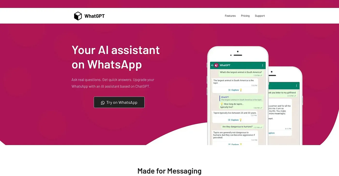 Screenshot of WhatGPT