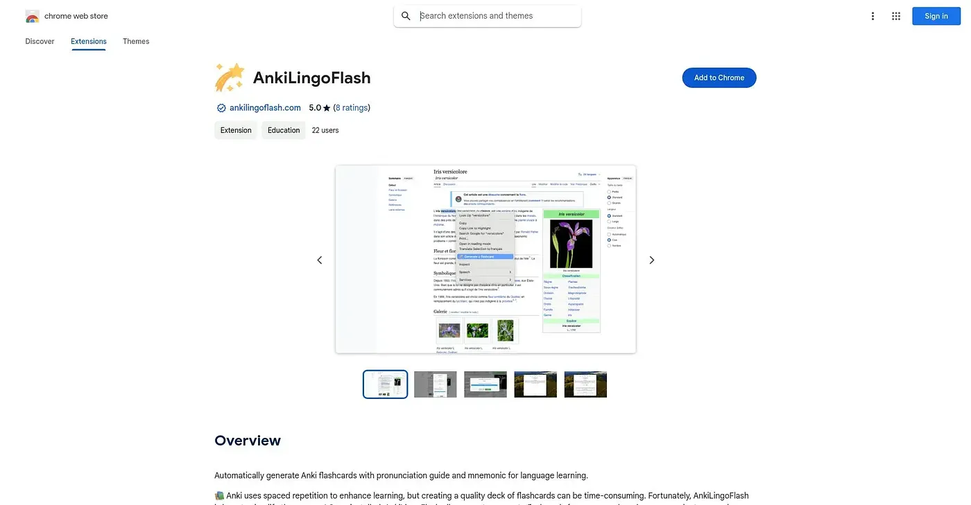 Screenshot of Anki Lingoflash Extension