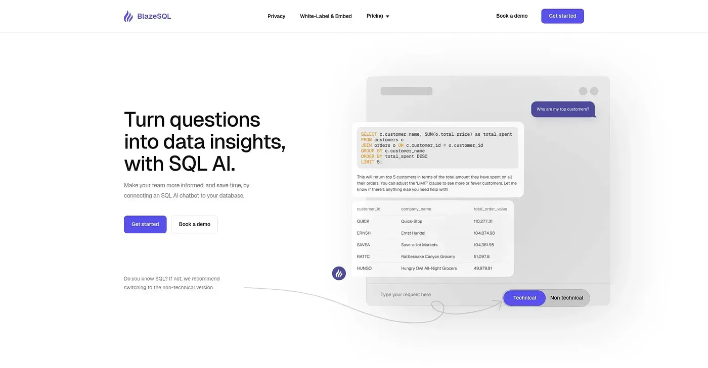 Screenshot of BlazeSQL