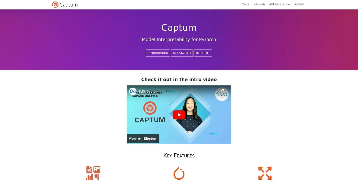 Screenshot of Captum AI