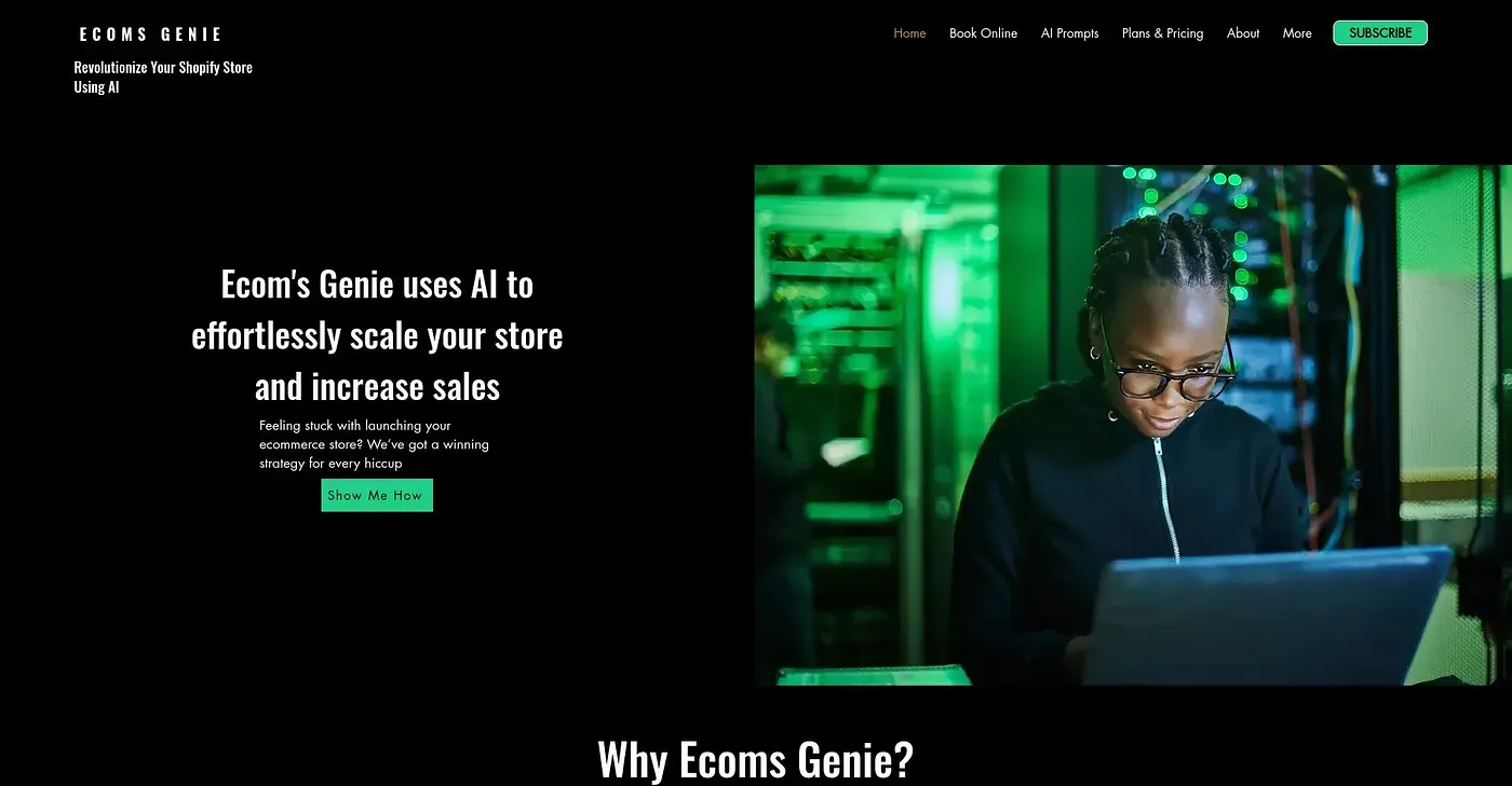 Screenshot of Ecom Genie