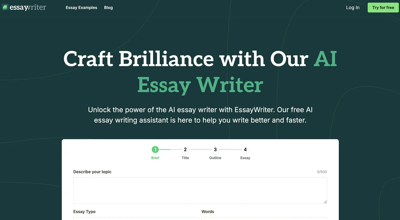 Screenshot of Essay Writer