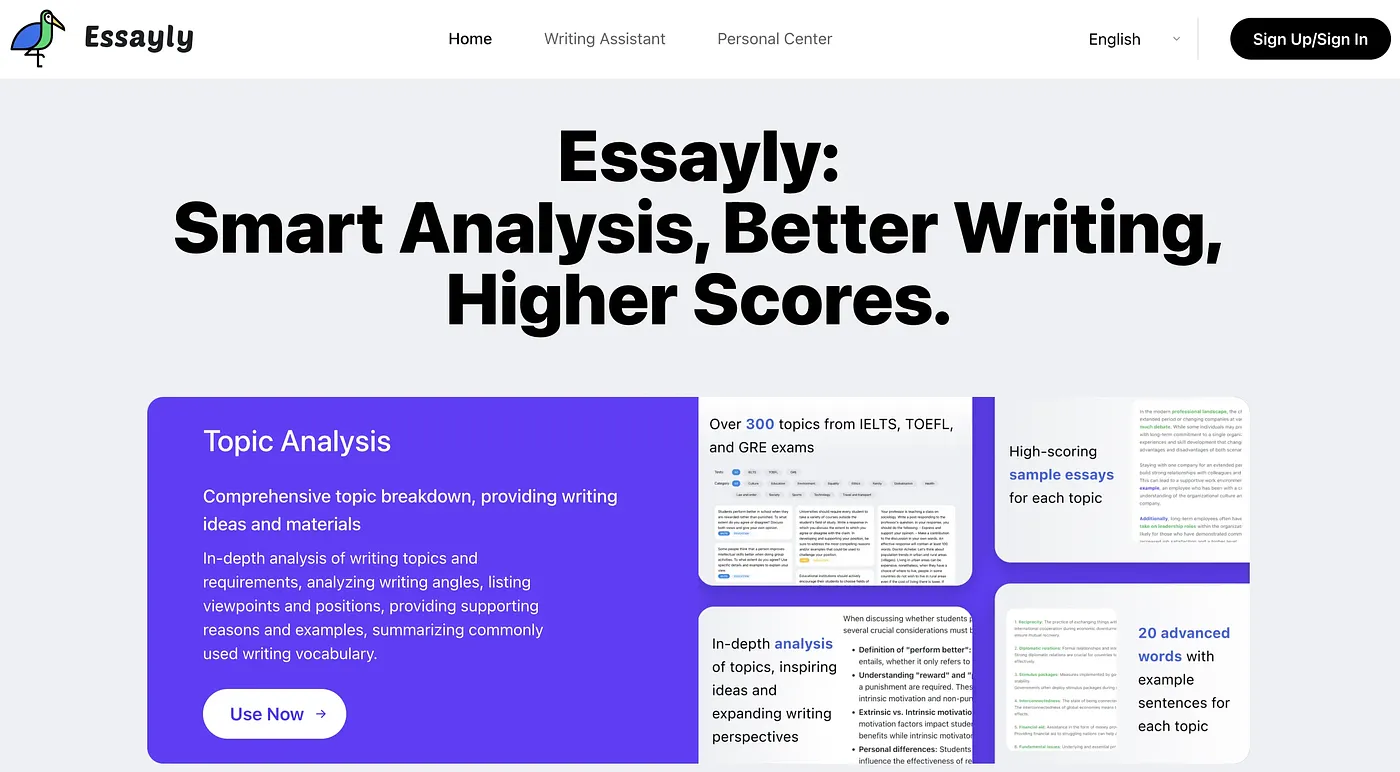 Screenshot of Essayly AI