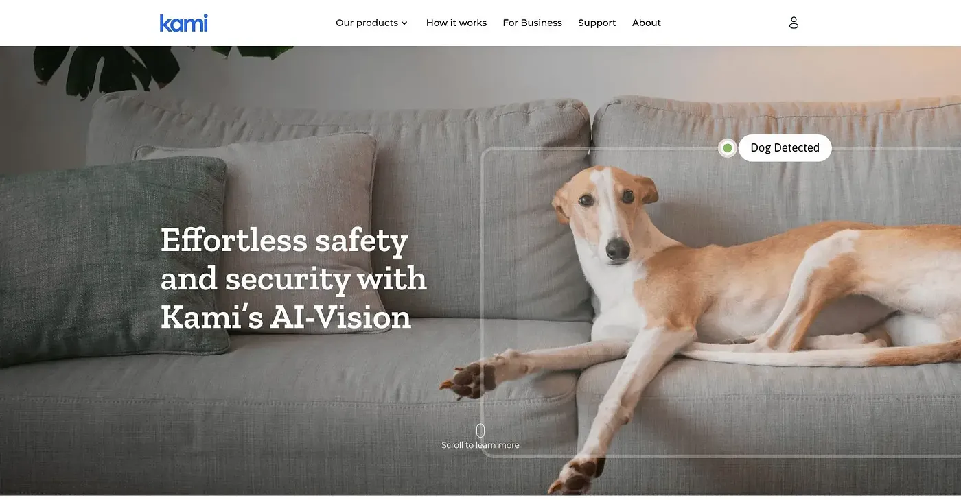 Screenshot of Kami Home