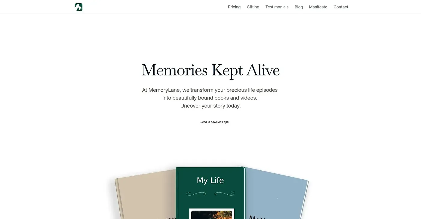 Screenshot of Memory Lane