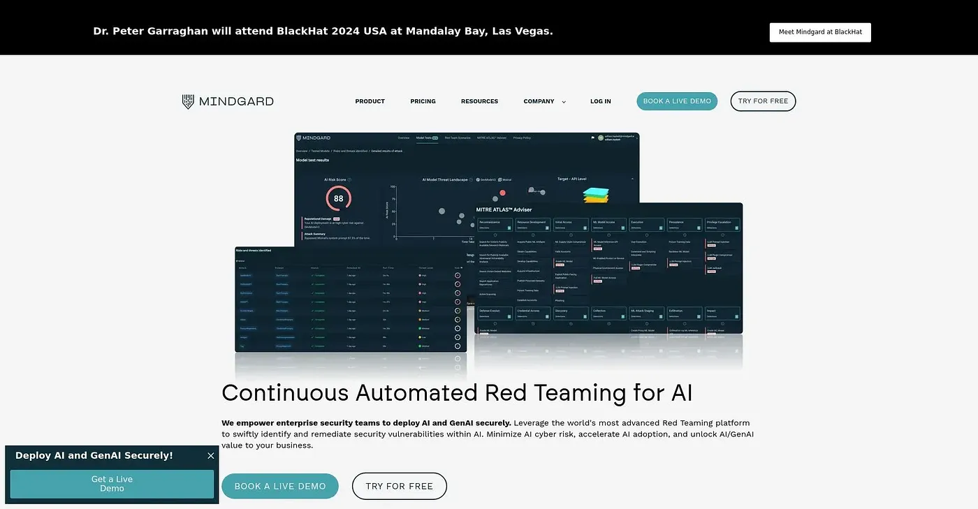 Screenshot of Mindgard