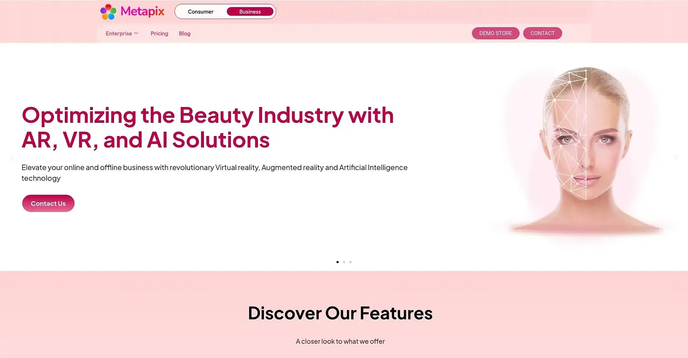 Screenshot of Metapix