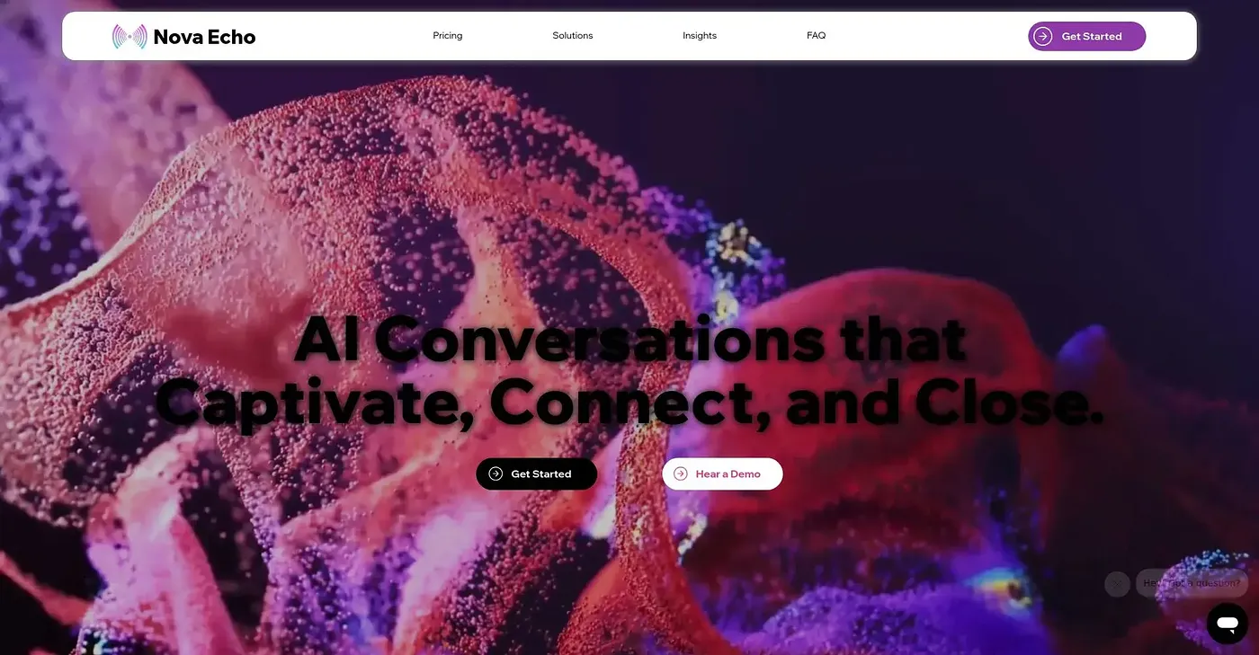 Screenshot of Nova Echo AI