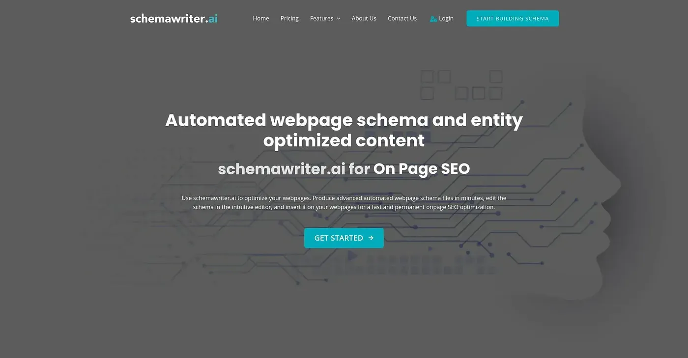 Screenshot of Schema Writer AI